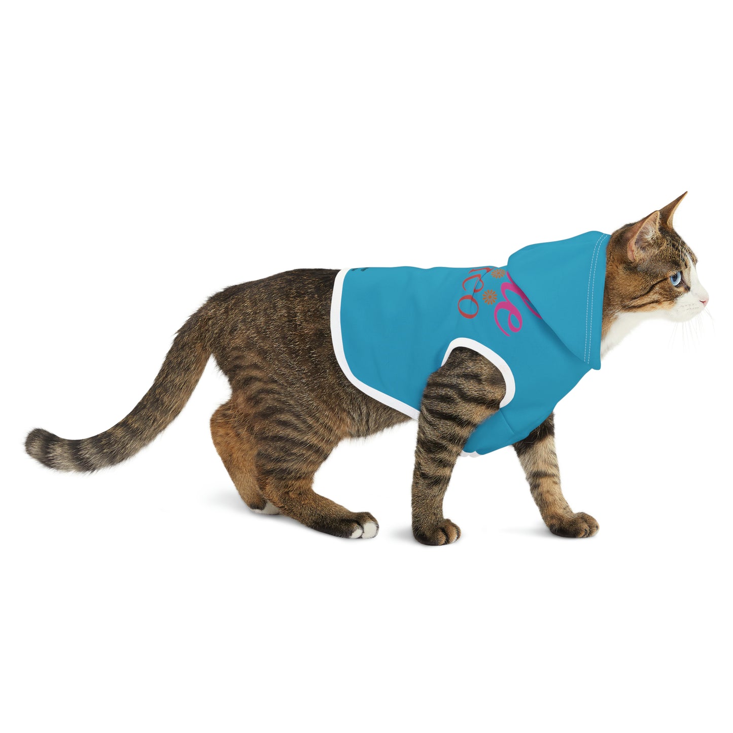 Little Romeo Pet Hoodie