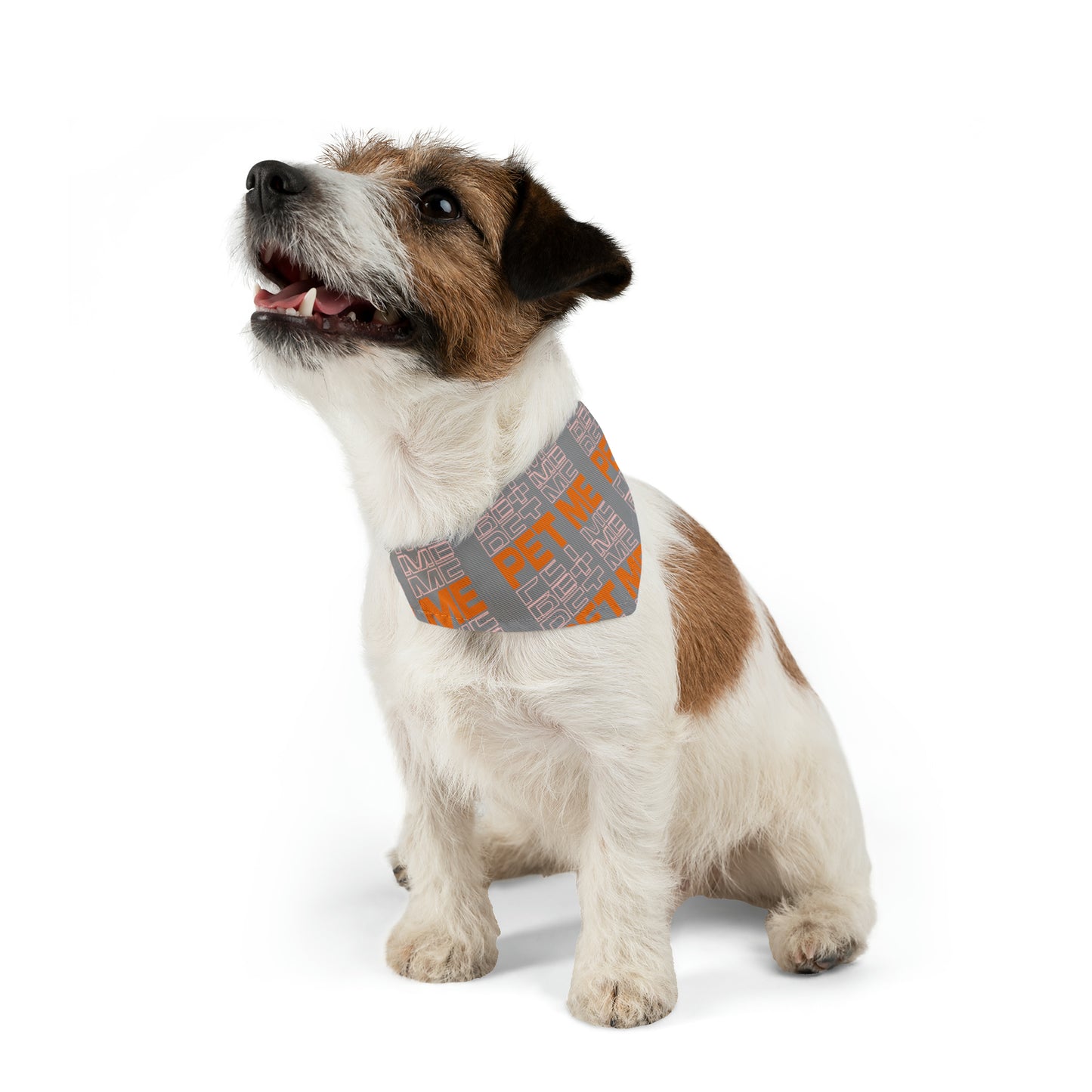 Pet Bandana Collar - Gray