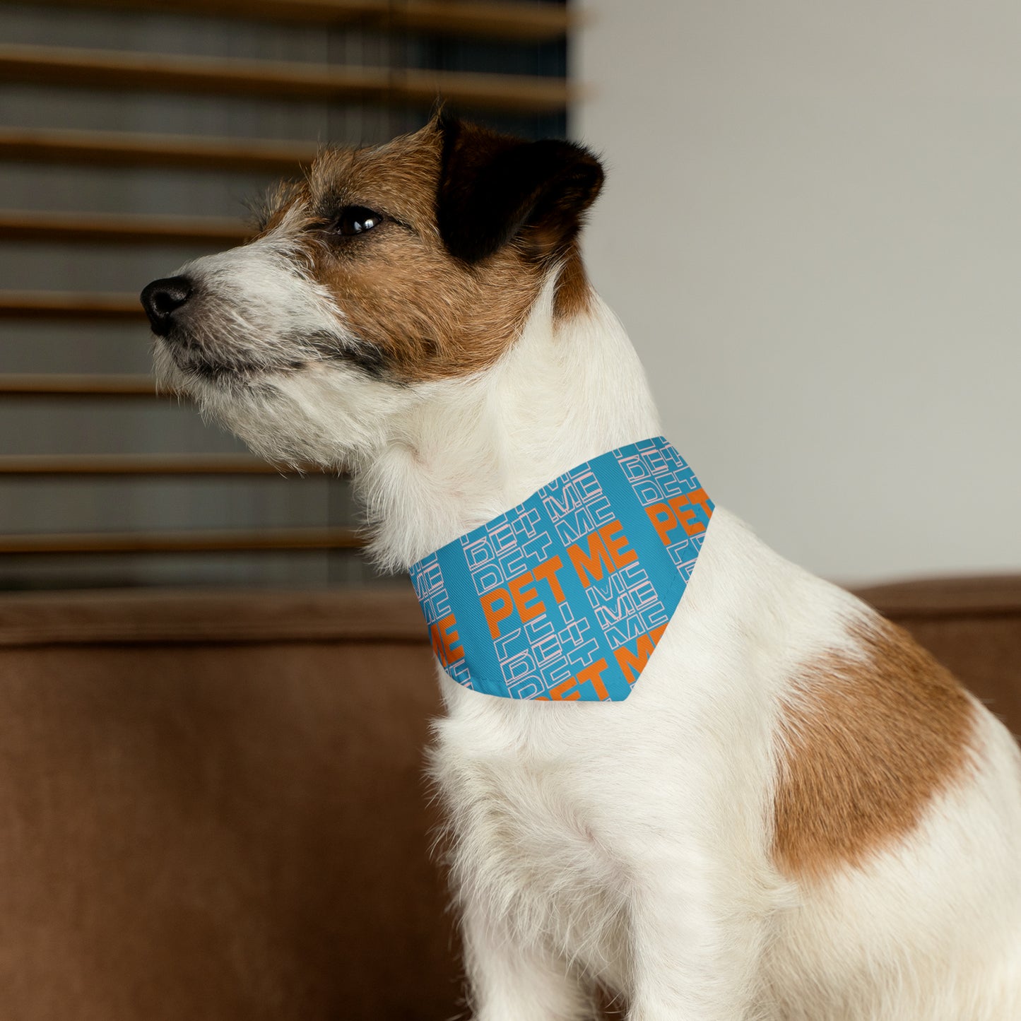 Pet Bandana Collar - Turquois