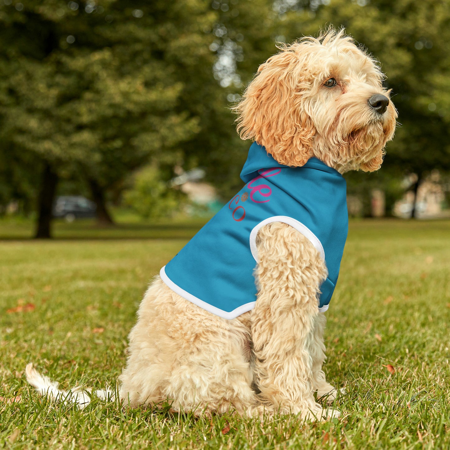 Little Romeo Pet Hoodie