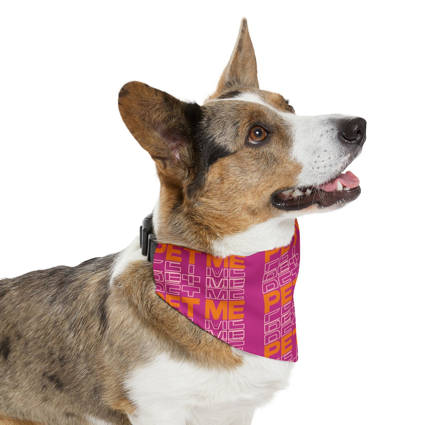 Pet Bandana Collar - Fushia