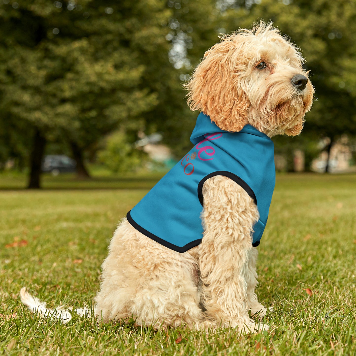 Little Romeo Pet Hoodie