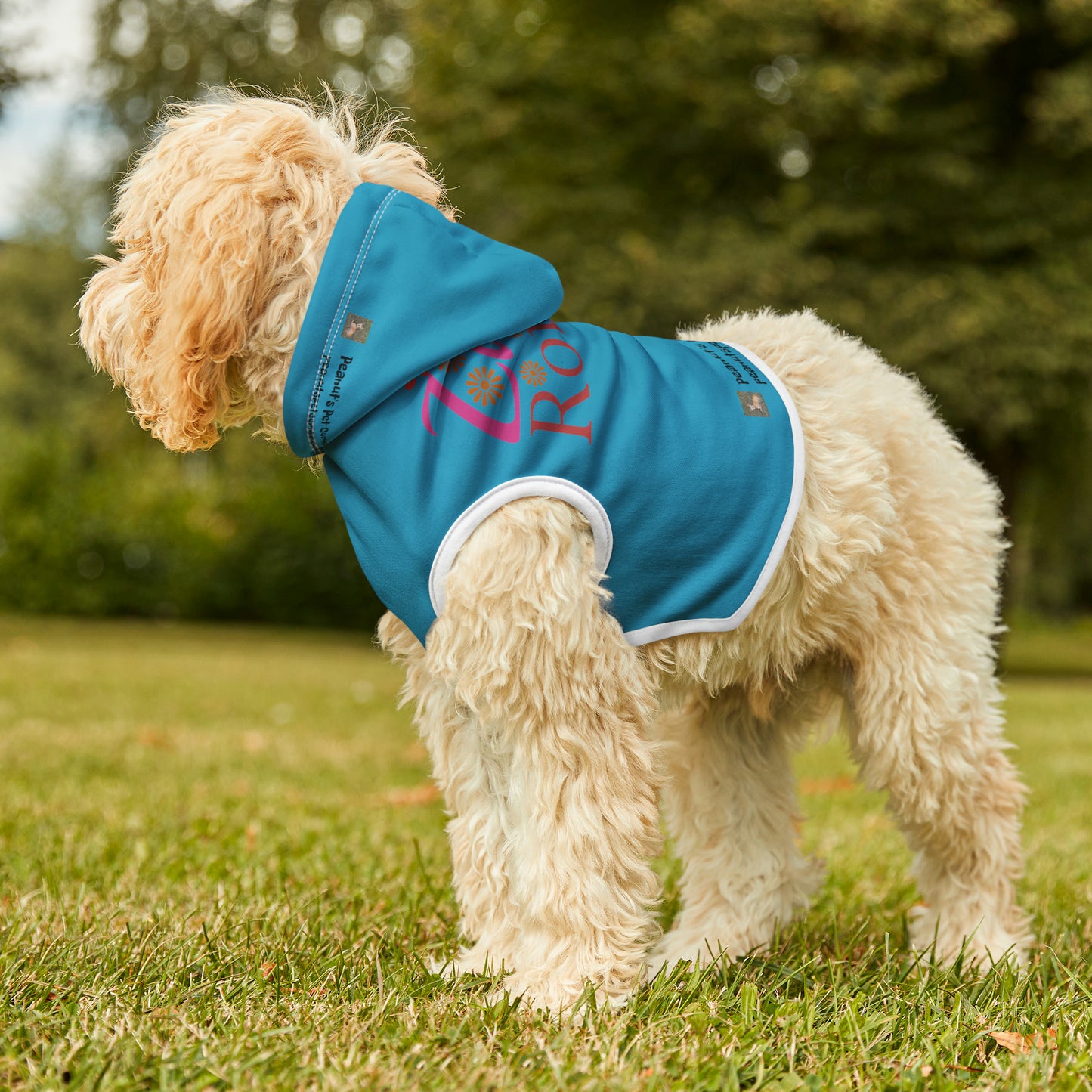 Little Romeo Pet Hoodie