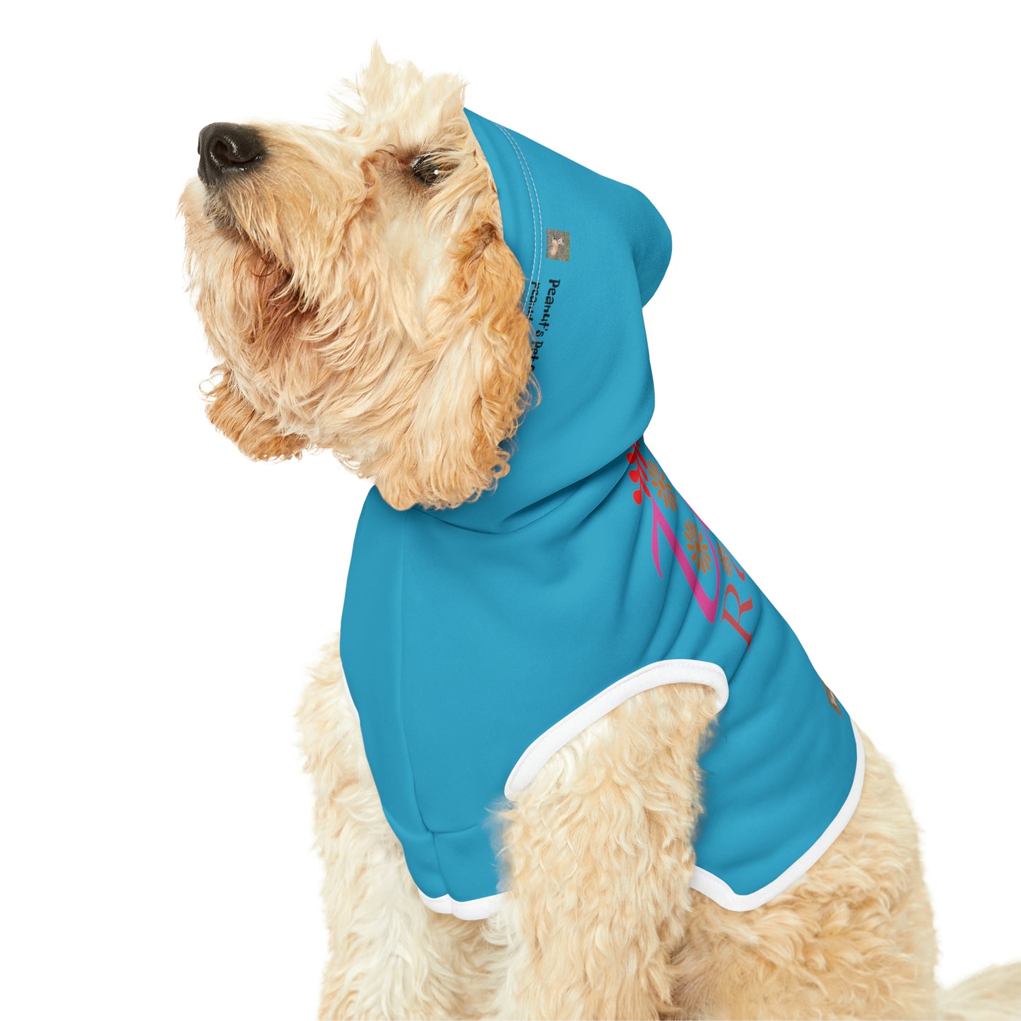 Little Romeo Pet Hoodie