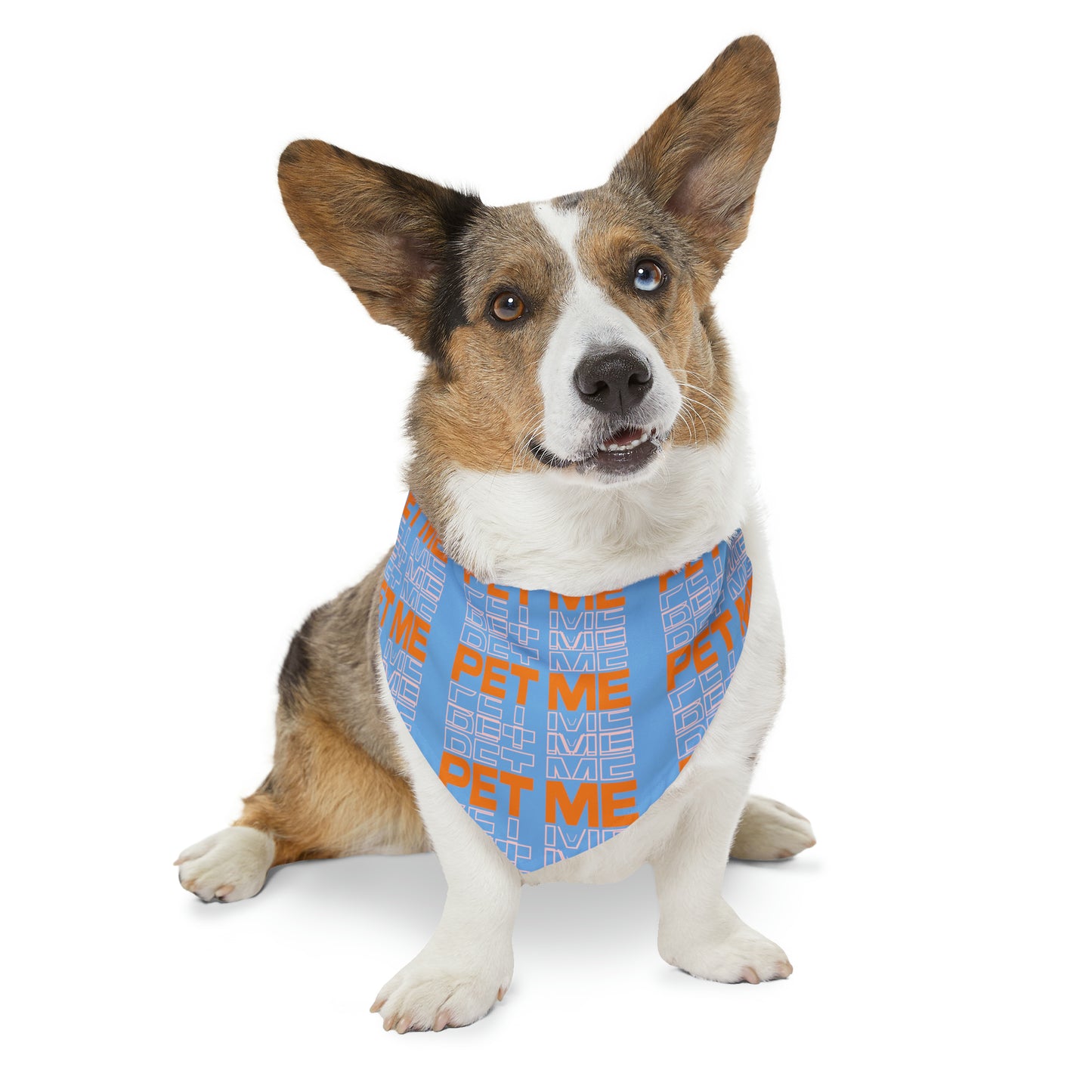 Pet Bandana Collar - Lt Blue