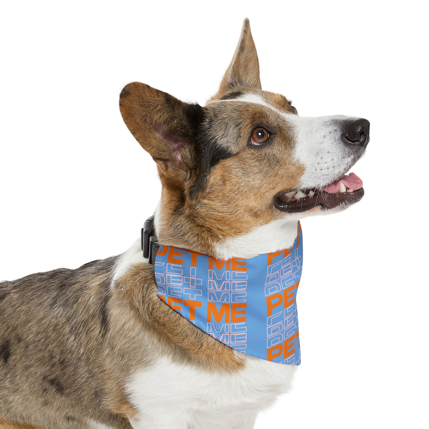 Pet Bandana Collar - Lt Blue