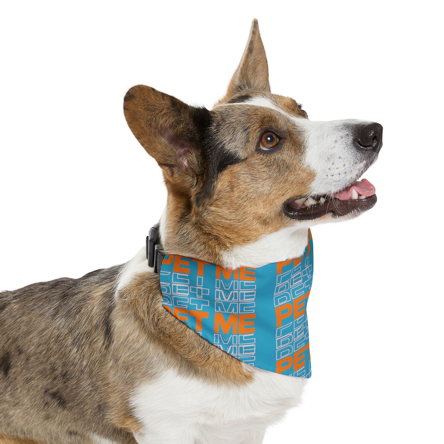 Pet Bandana Collar - Turquois