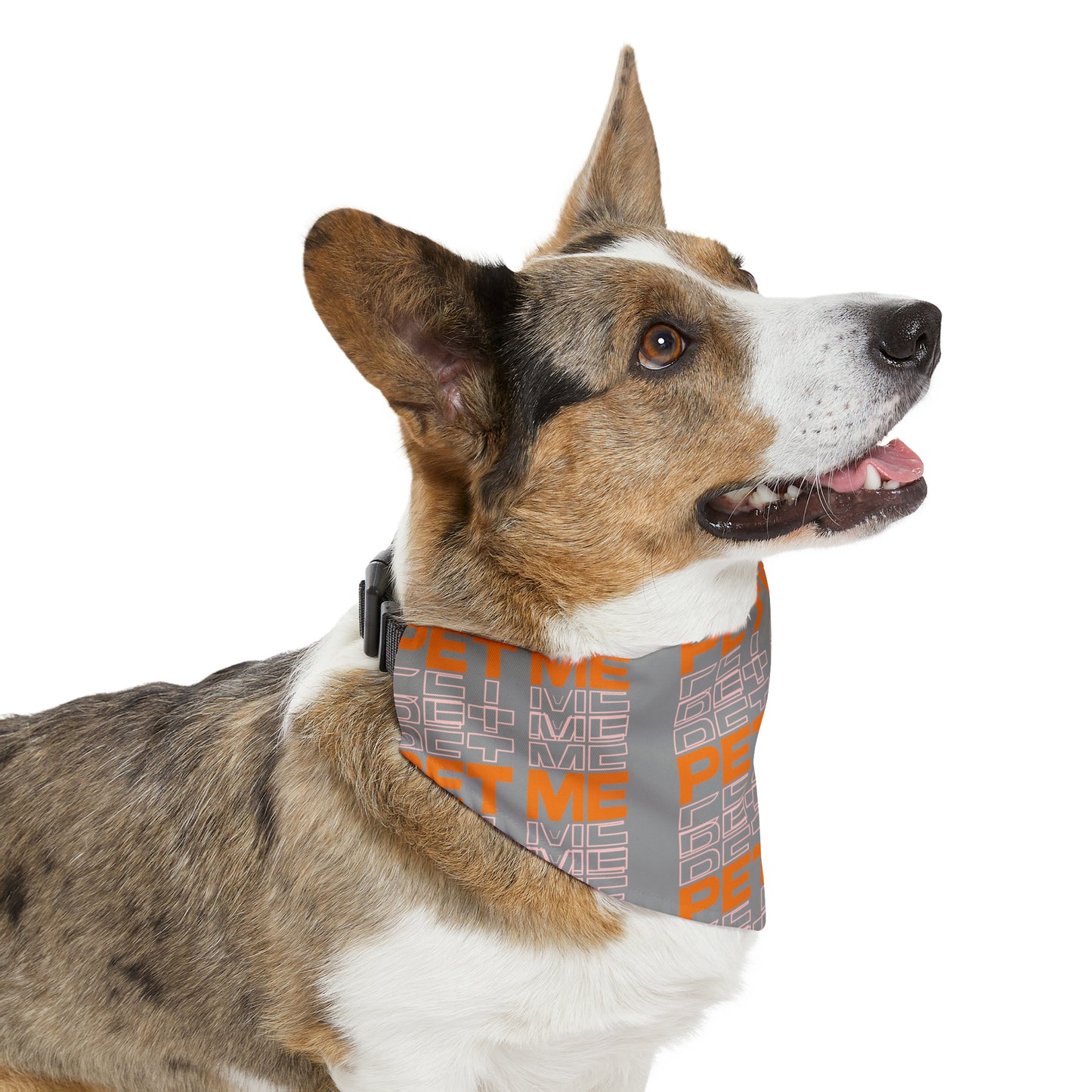 Pet Bandana Collar - Gray