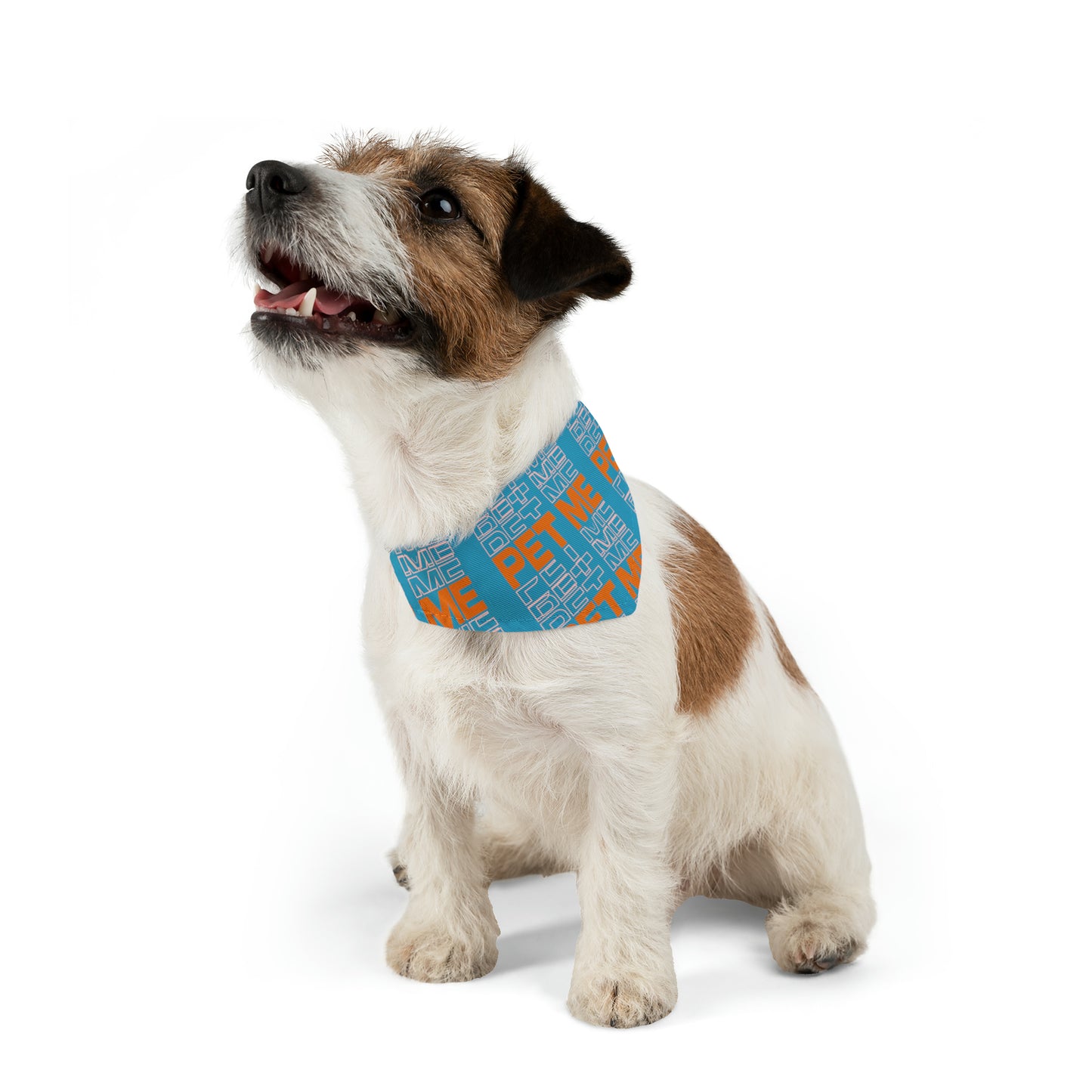 Pet Bandana Collar - Turquois