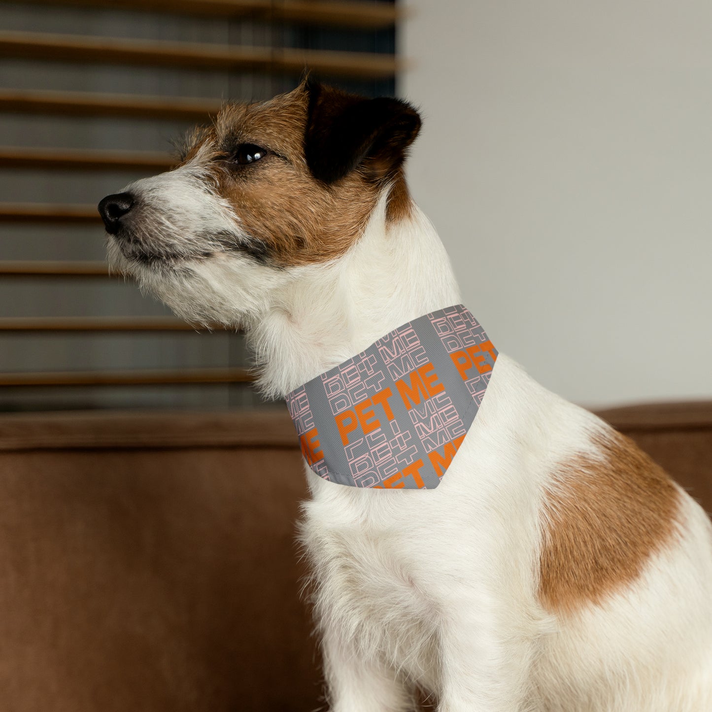 Pet Bandana Collar - Gray