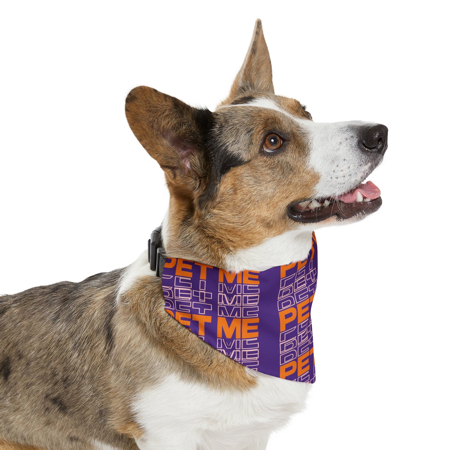 Pet Bandana Collar - Purple