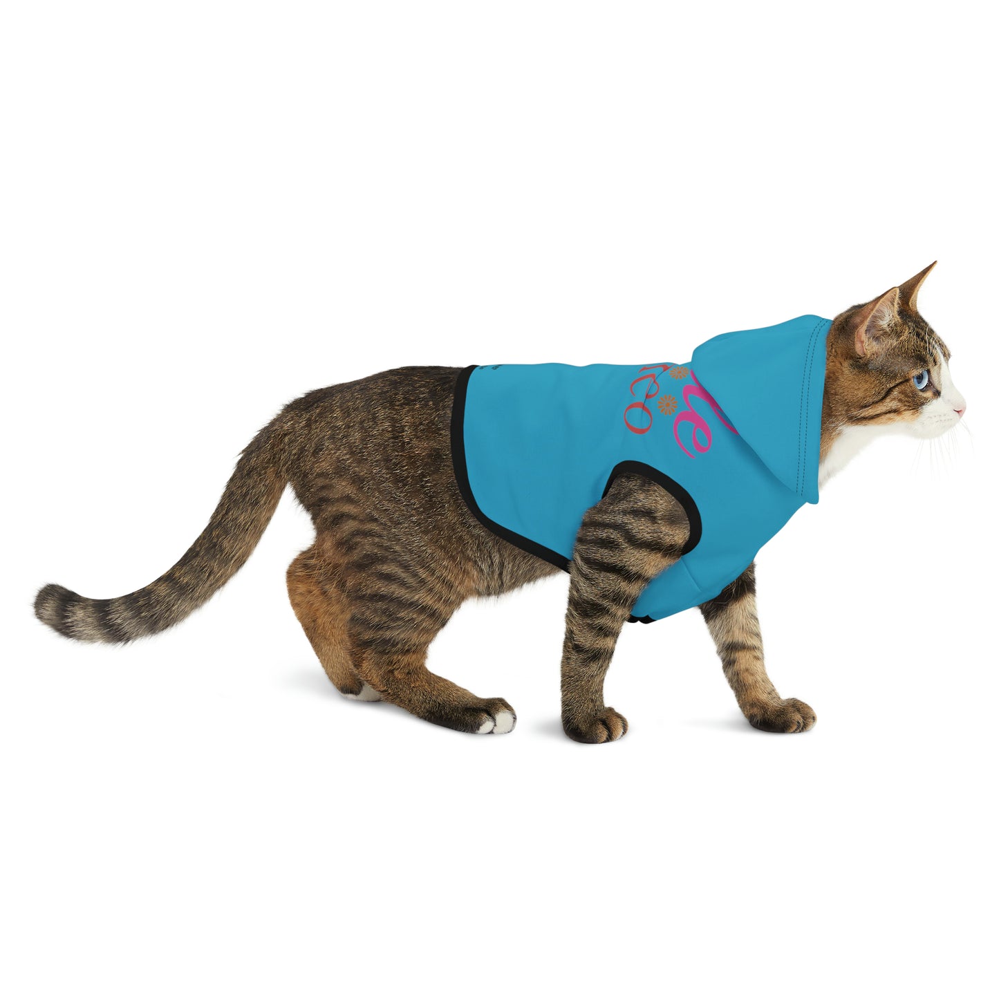 Little Romeo Pet Hoodie