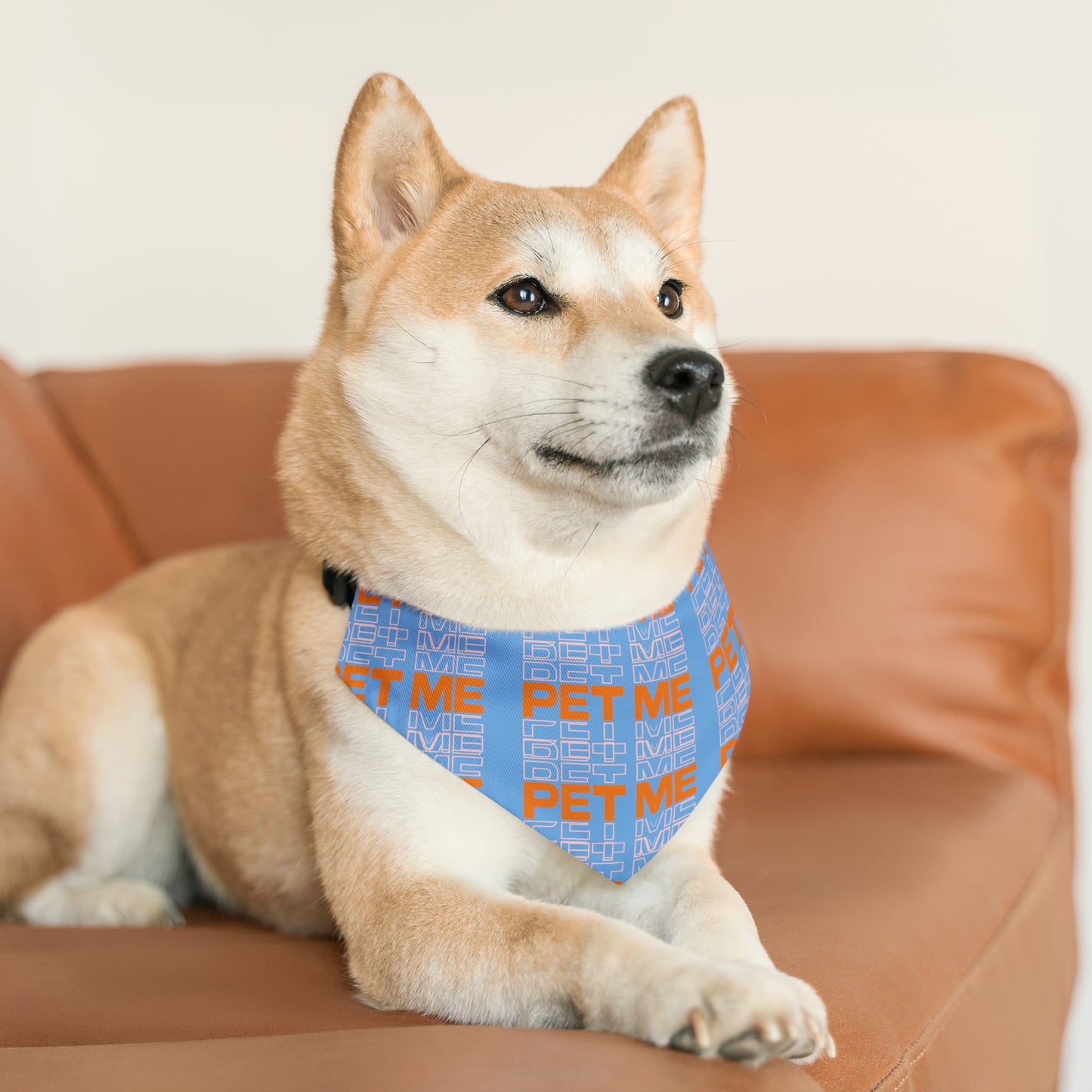 Pet Bandana Collar - Lt Blue