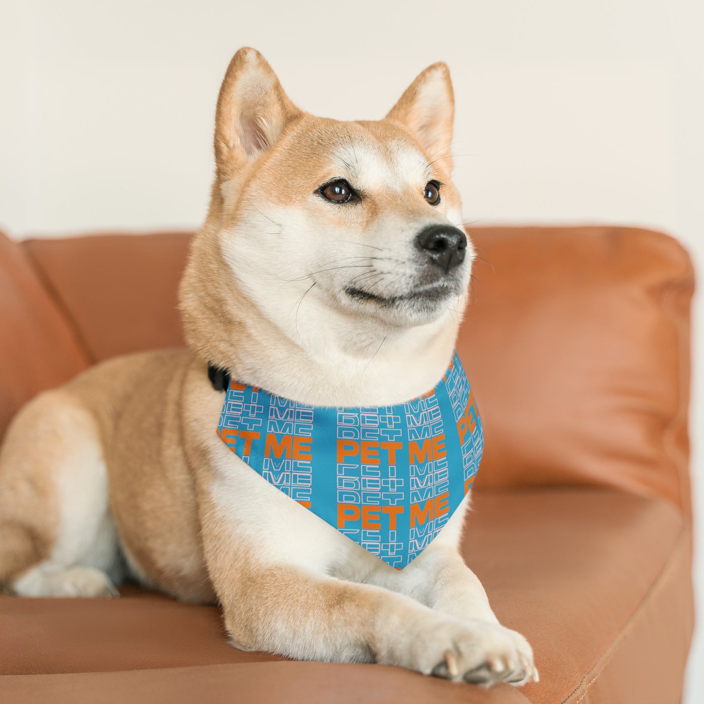 Pet Bandana Collar - Turquois