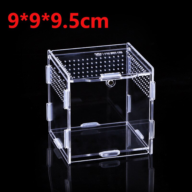 Transparent Acrylic Reptile Breeding Box - Spider/Lizard/Scorpion/Insect Breathable Terrarium