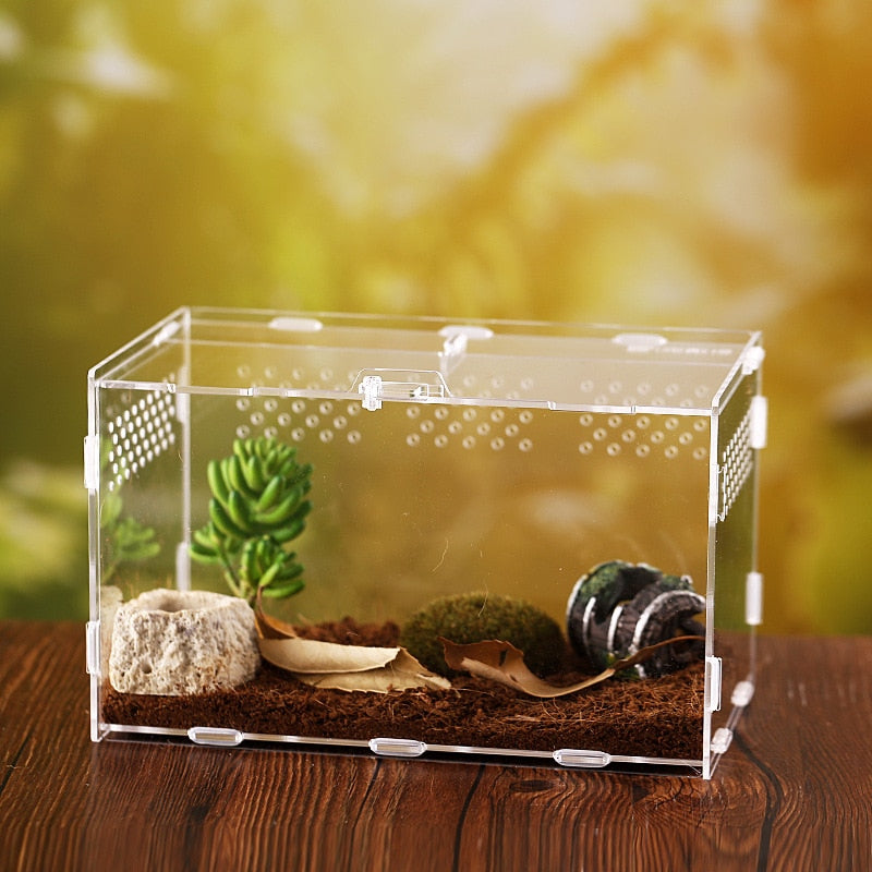 Transparent Acrylic Reptile Breeding Box - Spider/Lizard/Scorpion/Insect Breathable Terrarium