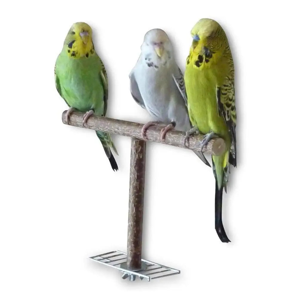 Pet Bird Wooden T-shape, Cage Mounted Perch