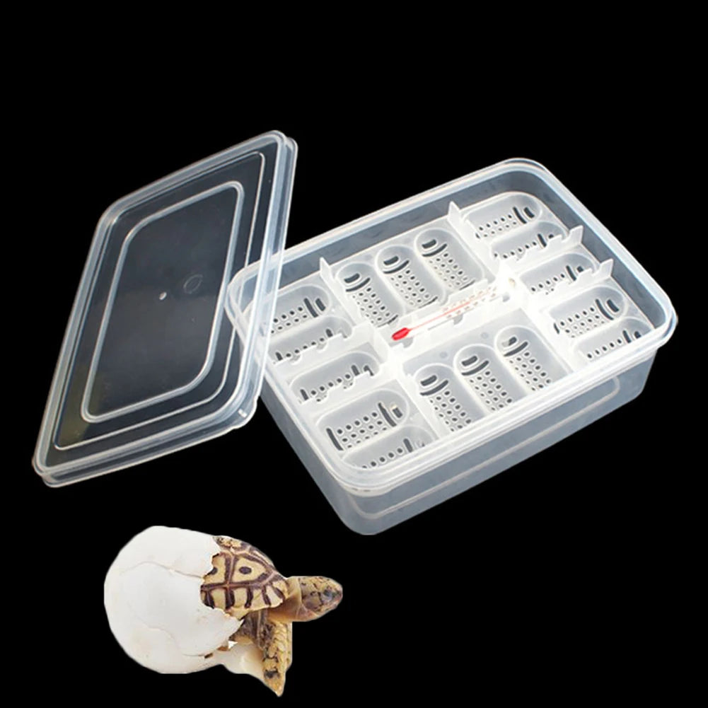 New 1PC Plastic Pet Reptile 6 Grids Egg Hatchery/Breeding Box