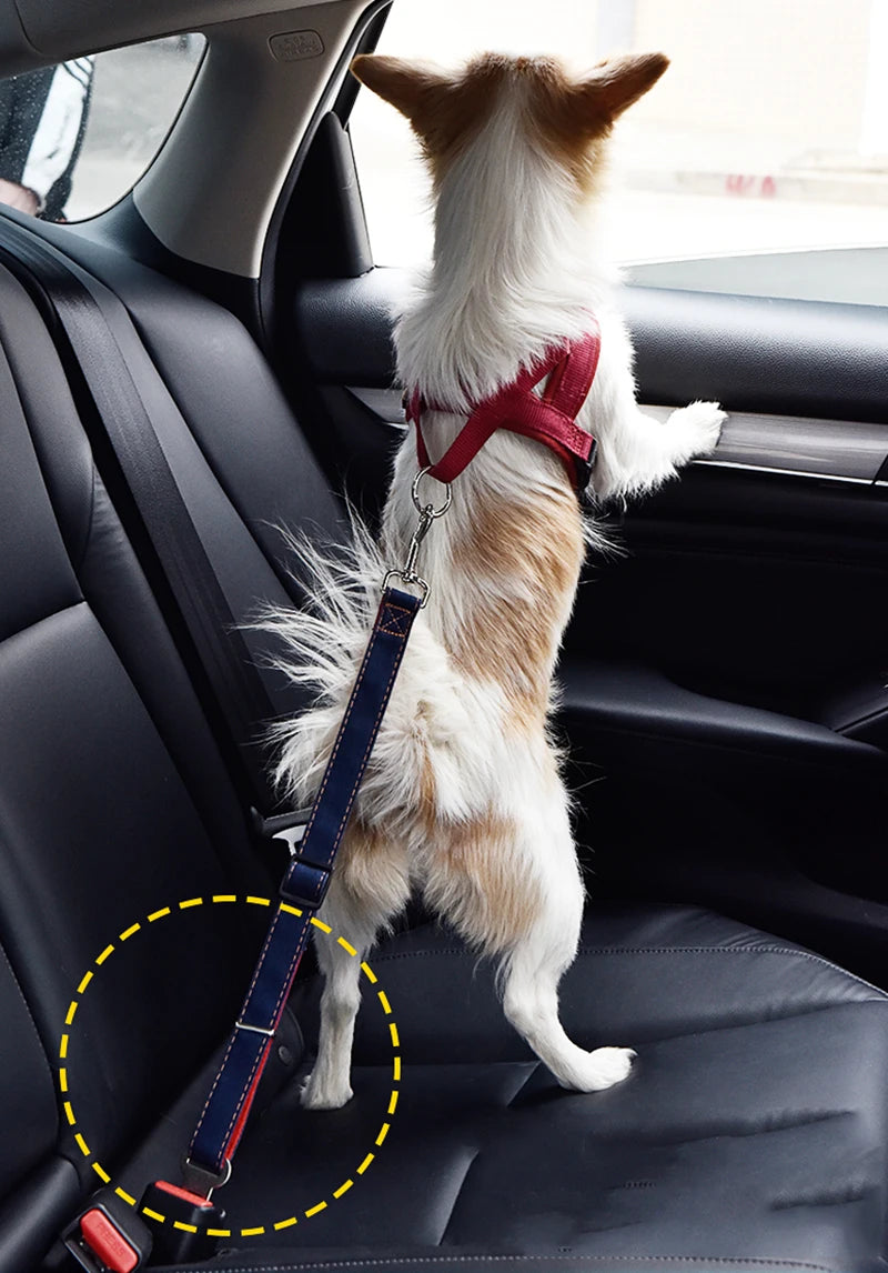 Adjustable Nylon Puppy/Dog Car Seat Belts - Pet Vehicle Safety Seatbelt