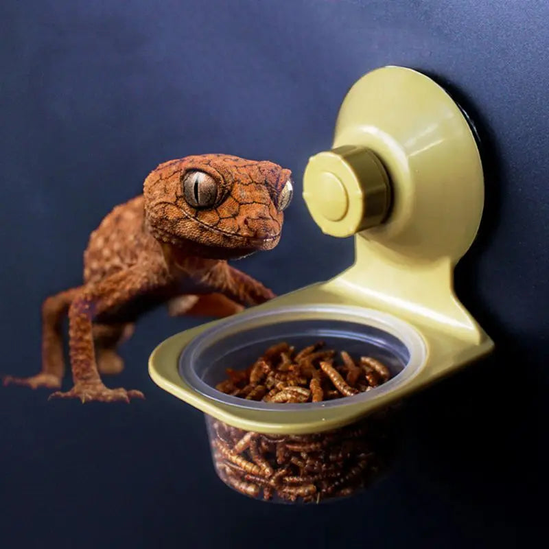 Suction Cup Hanging Reptile Water/Food Feeder