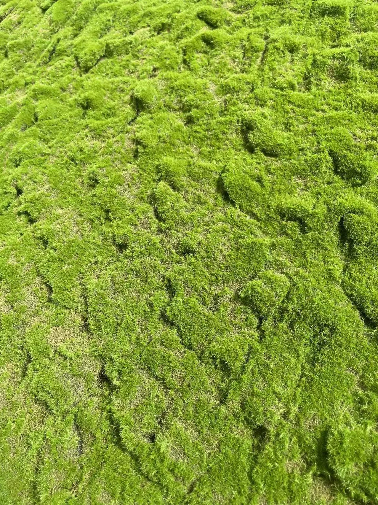 Artificial Moss Micro Landscape Flocking (Manufacturer Fake Lawn)