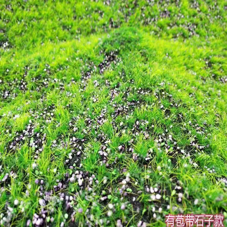 Artificial Moss Micro Landscape Flocking (Manufacturer Fake Lawn)