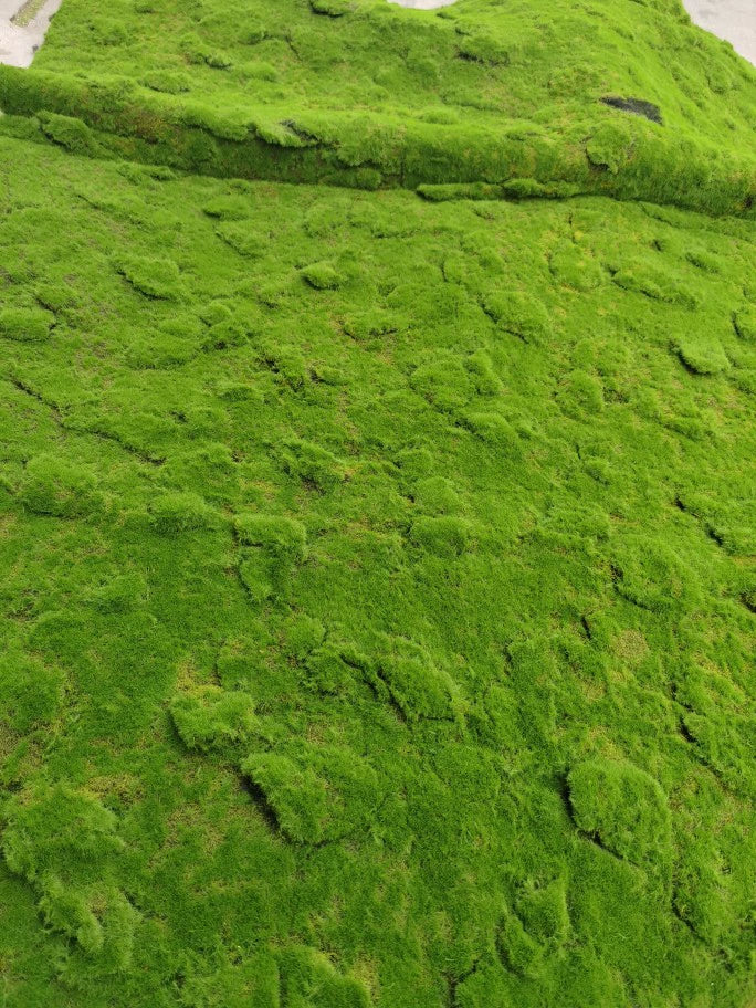 Artificial Moss Micro Landscape Flocking (Manufacturer Fake Lawn)