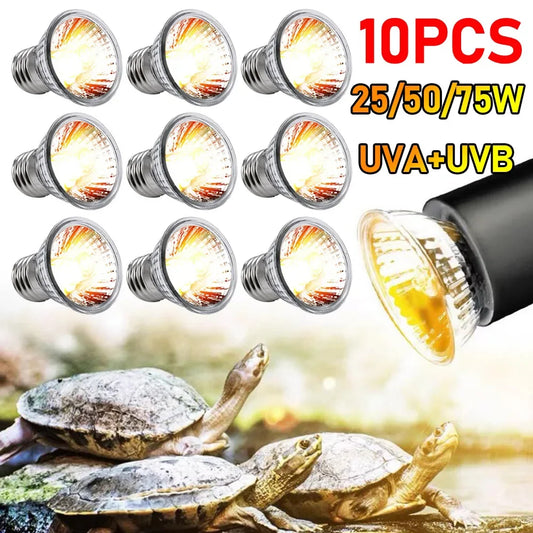 1-10PCS 25/50/75W UVA+UVB Reptile Lamp Bulb Light - Full Spectrum Sunlamp for Reptiles & Amphibians