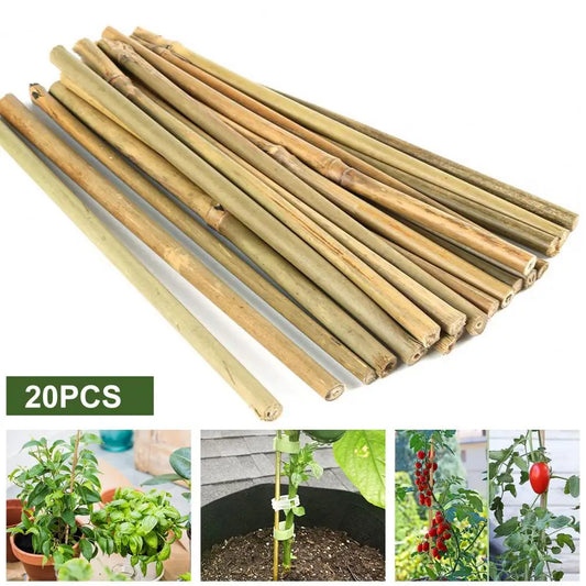 20Pcs Real Bamboo Planks for Habitat Enrichment