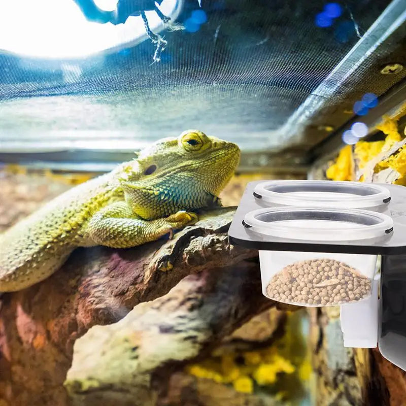 Reptile Tank Suction Cup Feeding Bowls Holders with Extra Bowls