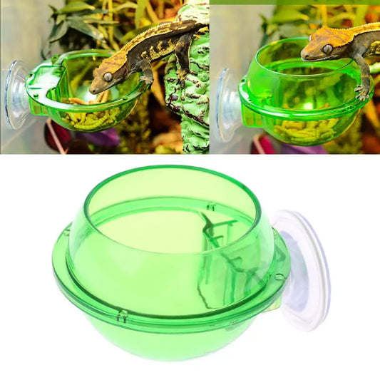 Reptile Anti-Escape Suction Cup Feeder/Water Bowl