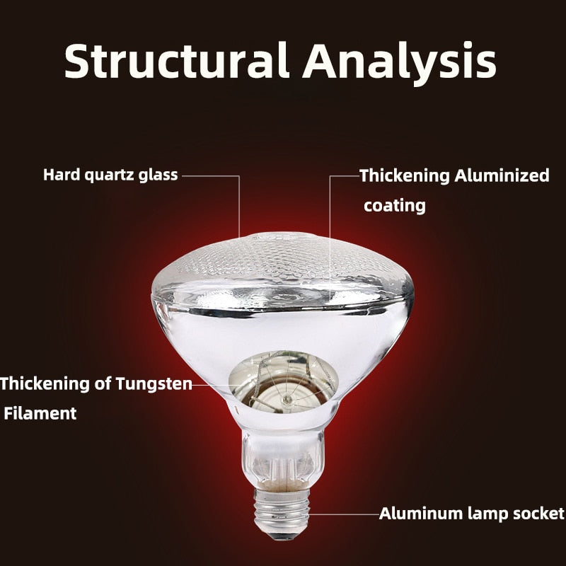 220V Poultry Heat Lamp Bulb - Infrared Thermal Heating for Reptile, Amphibian & Botany as well