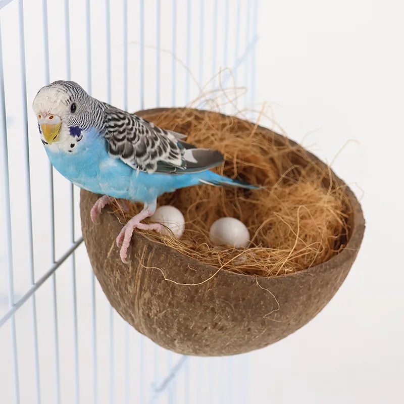 Natural Half-shell Coconut for Nesting, Bed, or a Hide