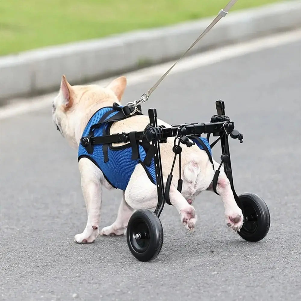 Adjustable Pet Walk Booster Walking Wheels Durable Dog Wheelchair Cart Blue Light Pet Hind Legs Bracket Disability Dog