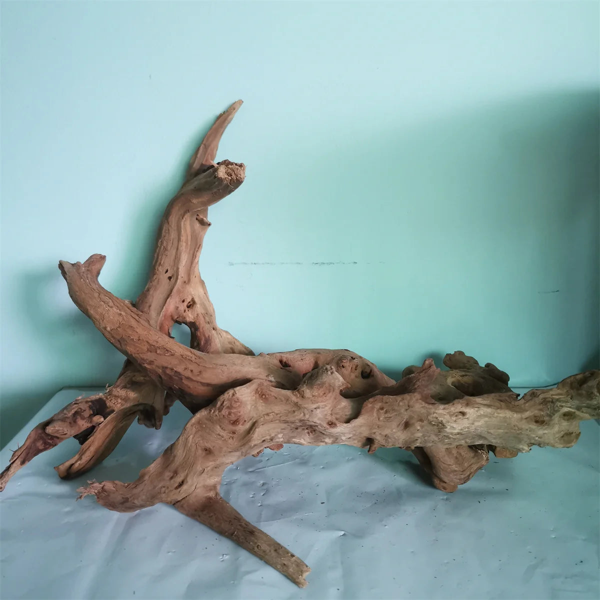 Natural Wood Root - Driftwood for Reptile, Fish, or Small Climbing animal