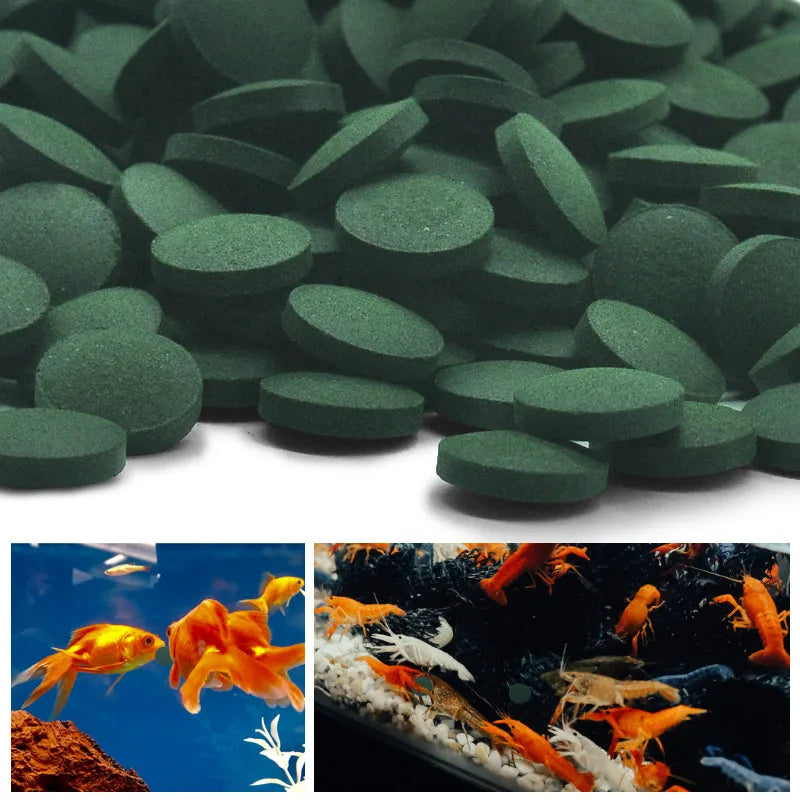 100/500PCS Spirulina Tablets, Enrichment