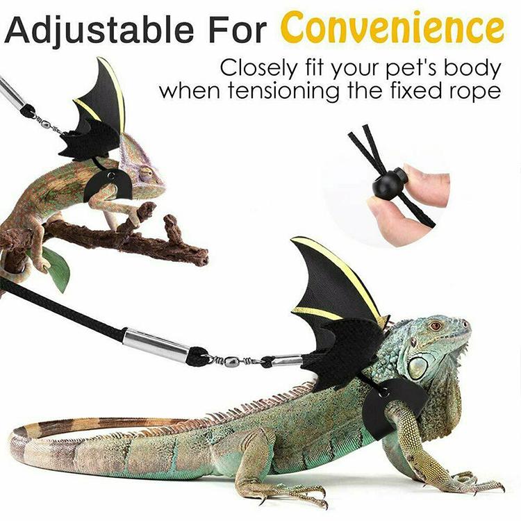 Adjustable Reptile Harness and Leash