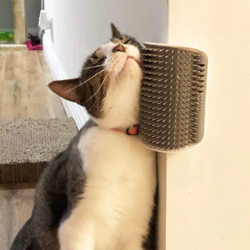 Wall-mounted Cat Comb with Catnip for Self Grooming or Massage