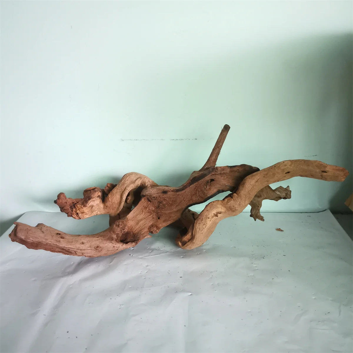 Natural Wood Root - Driftwood for Reptile, Fish, or Small Climbing animal