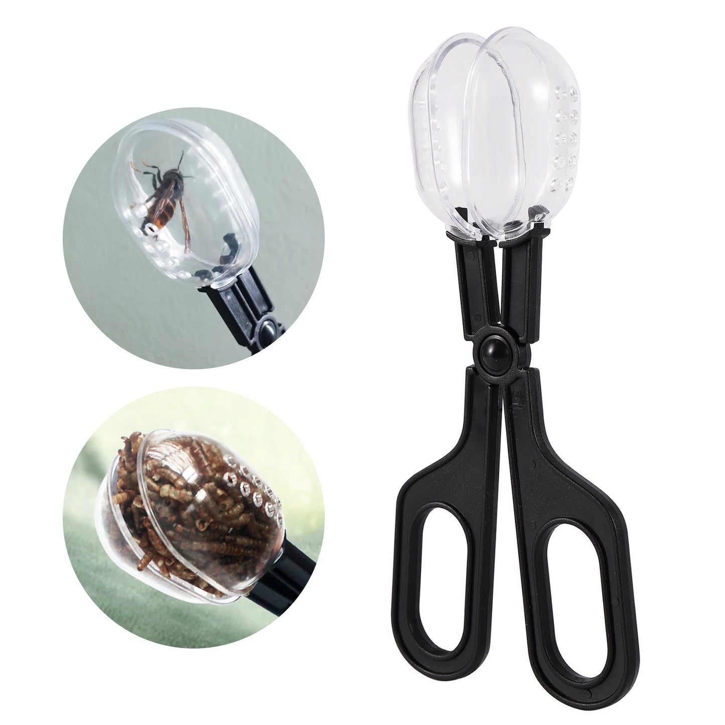 Reptile Plastic Tongs Feeding Tool