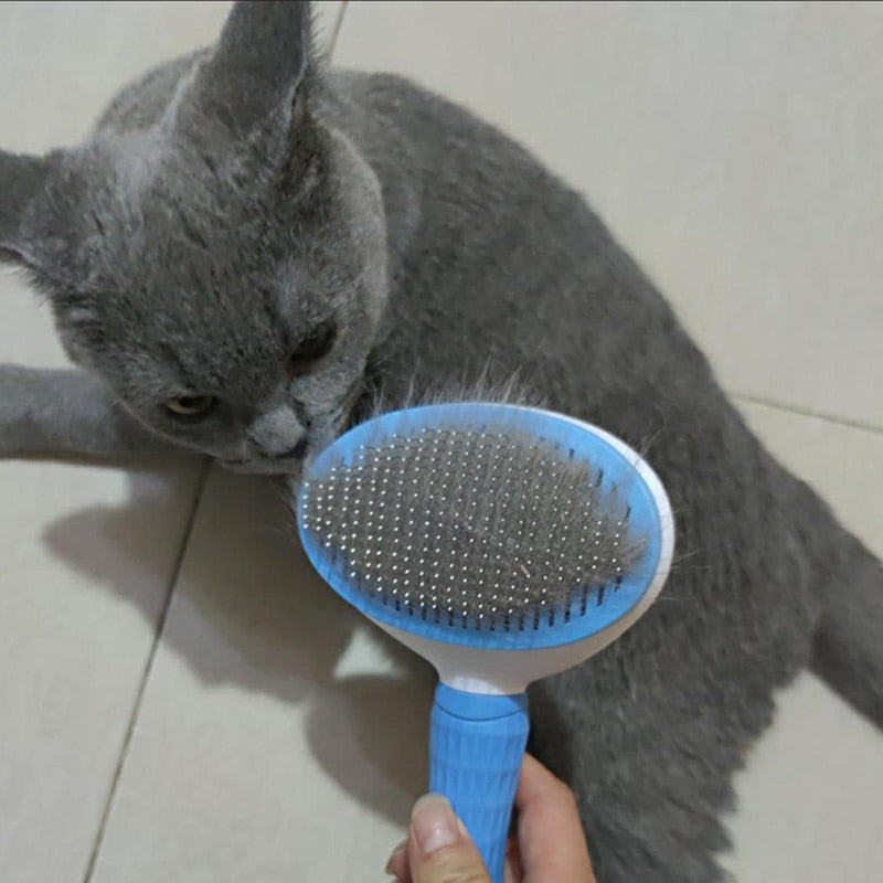 Dog/Cat Hair Removal Comb - Plastic Pet Grooming Products