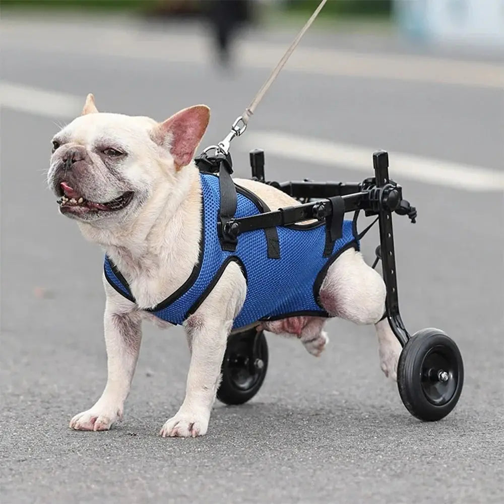 Adjustable Pet Walk Booster Walking Wheels Durable Dog Wheelchair Cart Blue Light Pet Hind Legs Bracket Disability Dog