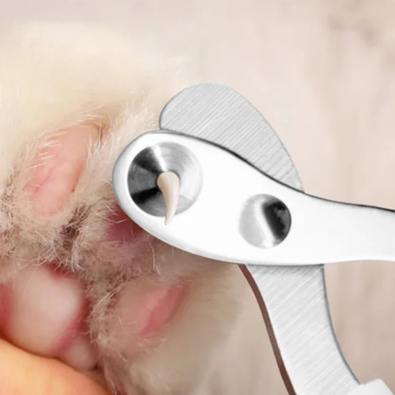 Professional Claw Grooming Scissors, Pet Nail Clippers for Small Dogs and Cats