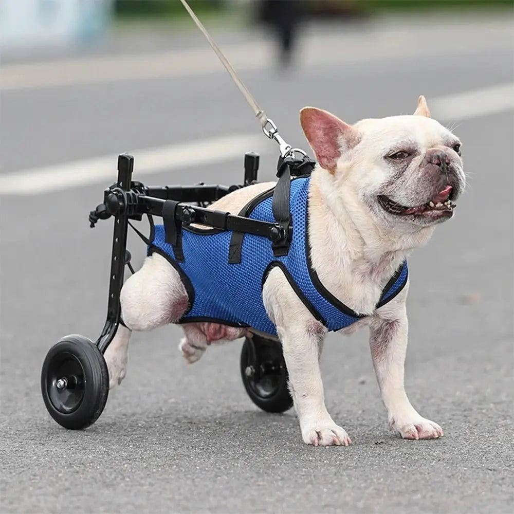 Adjustable Pet Walk Booster Walking Wheels Durable Dog Wheelchair Cart Blue Light Pet Hind Legs Bracket Disability Dog