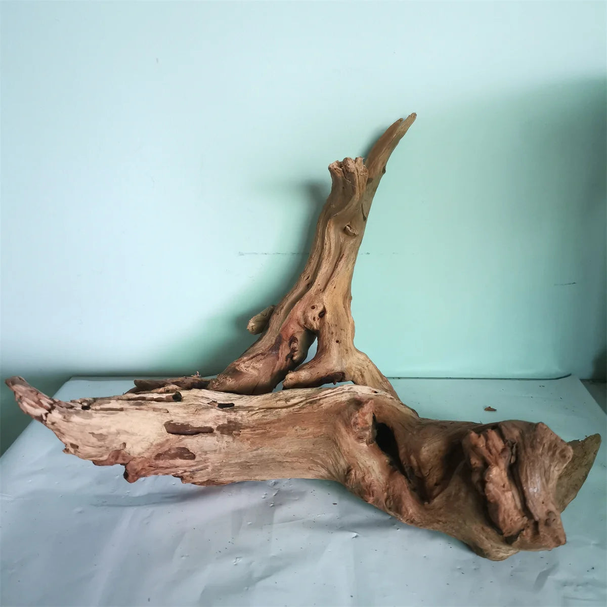 Natural Wood Root - Driftwood for Reptile, Fish, or Small Climbing animal