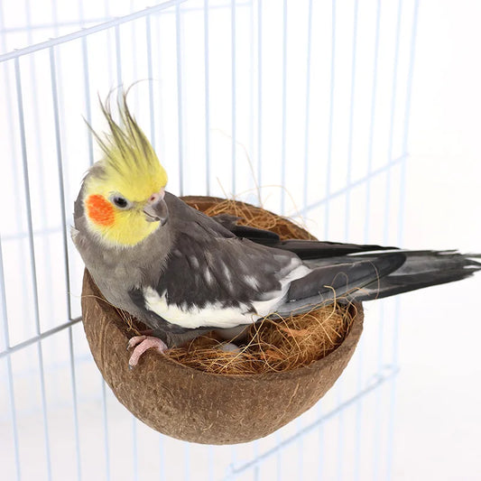 Natural Half-shell Coconut for Nesting, Bed, or a Hide