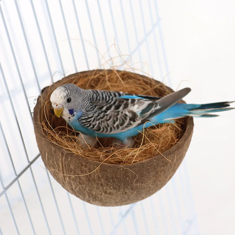 Natural Half-shell Coconut for Nesting, Bed, or a Hide