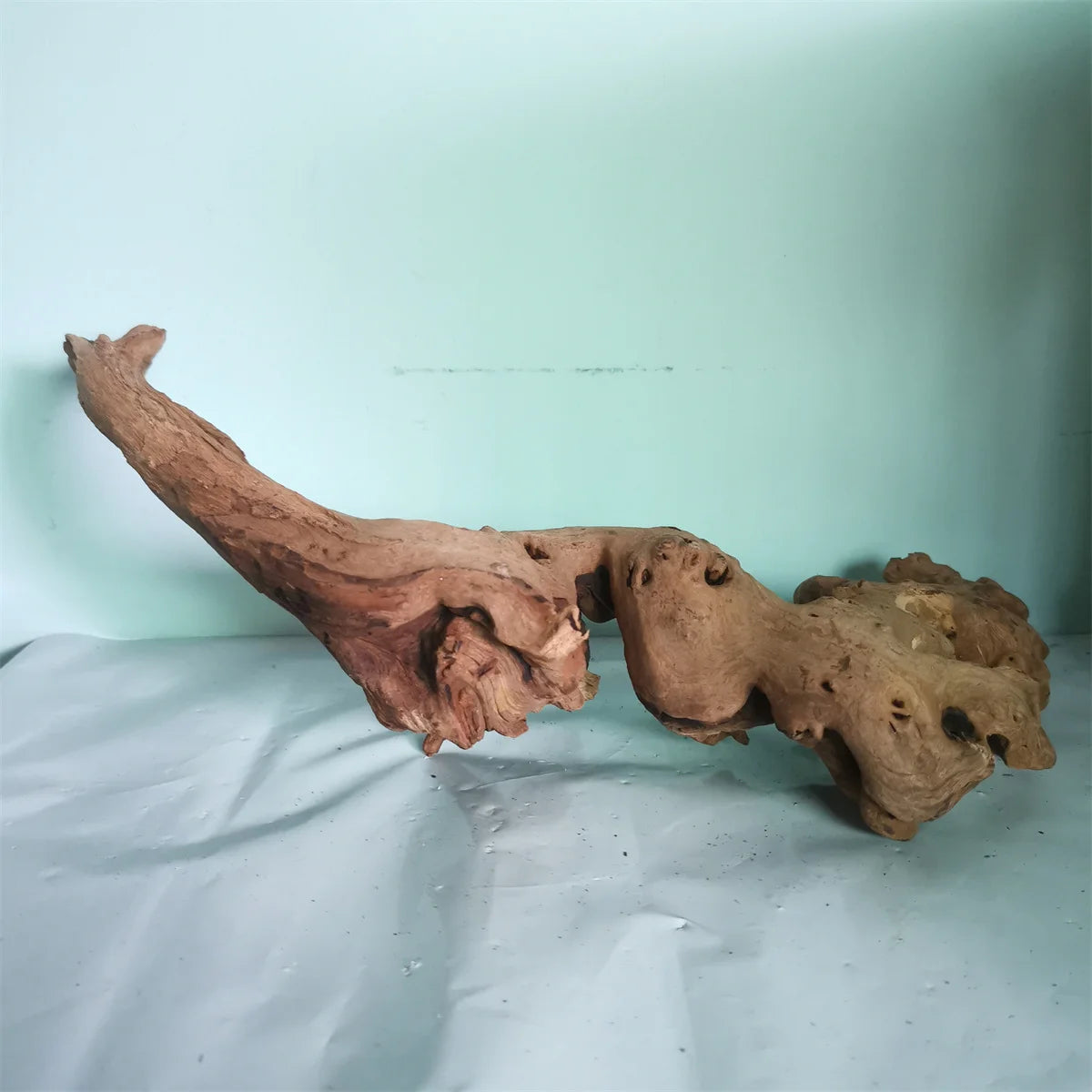 Natural Wood Root - Driftwood for Reptile, Fish, or Small Climbing animal