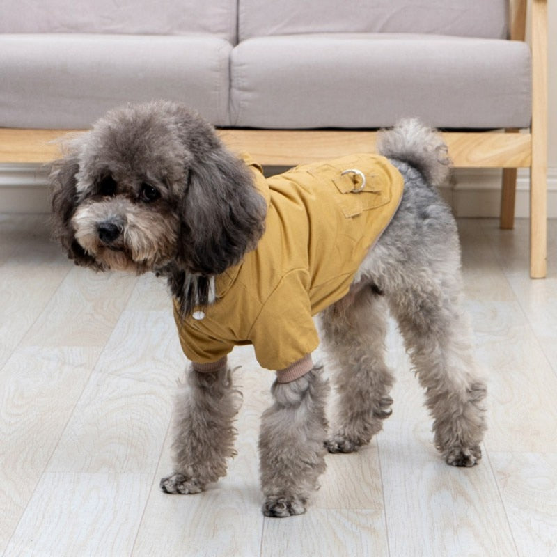 Warm Winter Down Jacket For Small and Medium Dogs - Hoodie Outfits