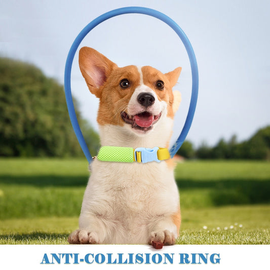 Blind pet anti-collision pet collar